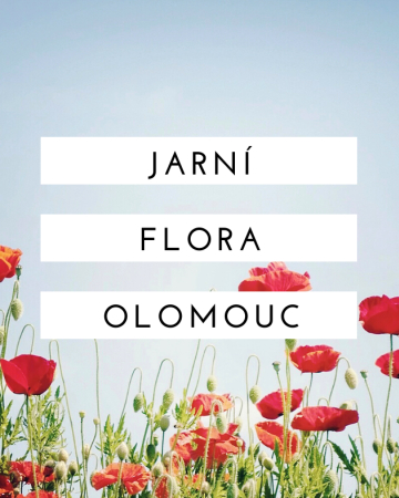 Flora Olomouc 2022 - jarní etapa