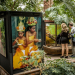 Výstava Tajemná Indonésie v palmovém skleníku nekončí