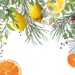 Advent v oranžerii zve na nové trendy vánočních dekorací i floristické workshopy