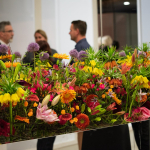Obří trůn i 25 tisíc květin. Jarní výstava Flora Olomouc láká do Království barev