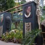 Palmový skleník na Floře zve na unikátní exotickou výstavu
