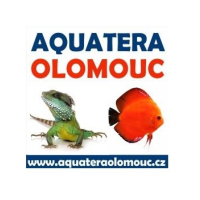 Aquatera Olomouc