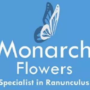Monarch Flowers