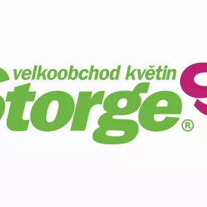 Storge