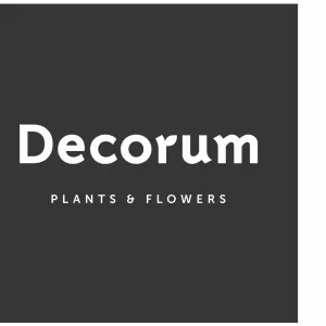 Decorum