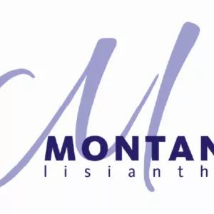 Montana Lisianthus