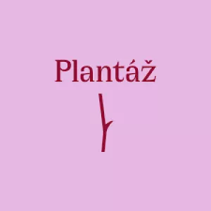 Kulturní plantáž Blatná