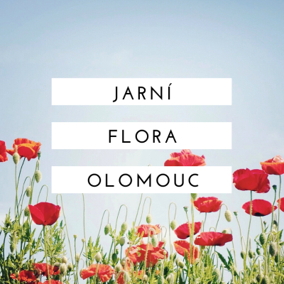 Flora Olomouc 2022 - letní etapa
