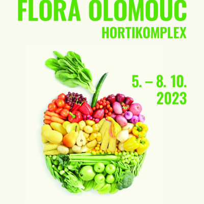 FLORA OLOMOUC
2017, letní etapa
