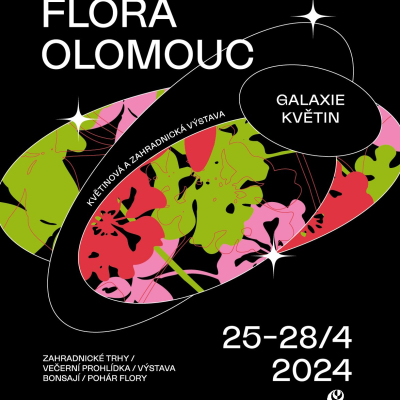Vánoce Flora 2019