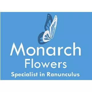Monarch Flowers