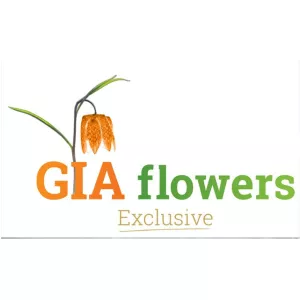 GIA Flowers