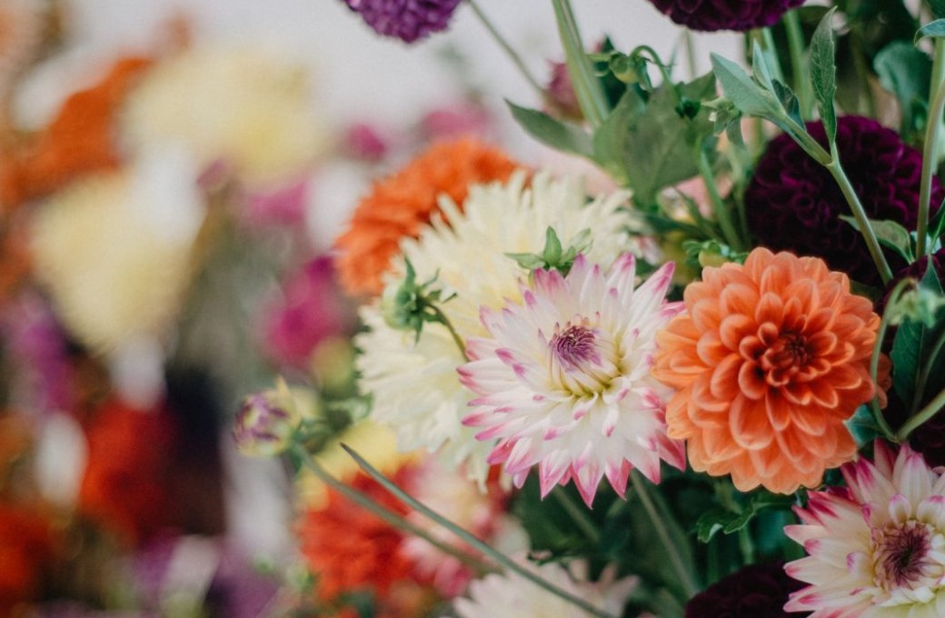 Zrušení letní Flory řešilo Výstaviště Flora delší čas. Vše urychlil covid a zdražování 