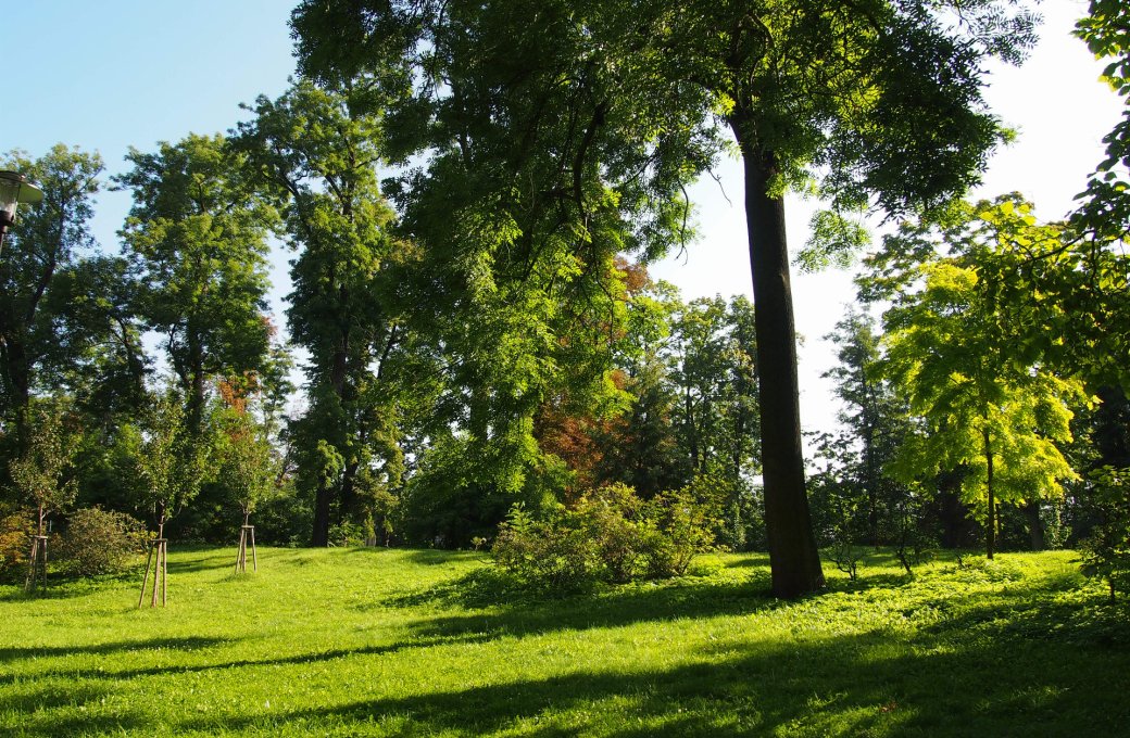 Bezpečnost především - dávejte v parcích po bouřkách pozor