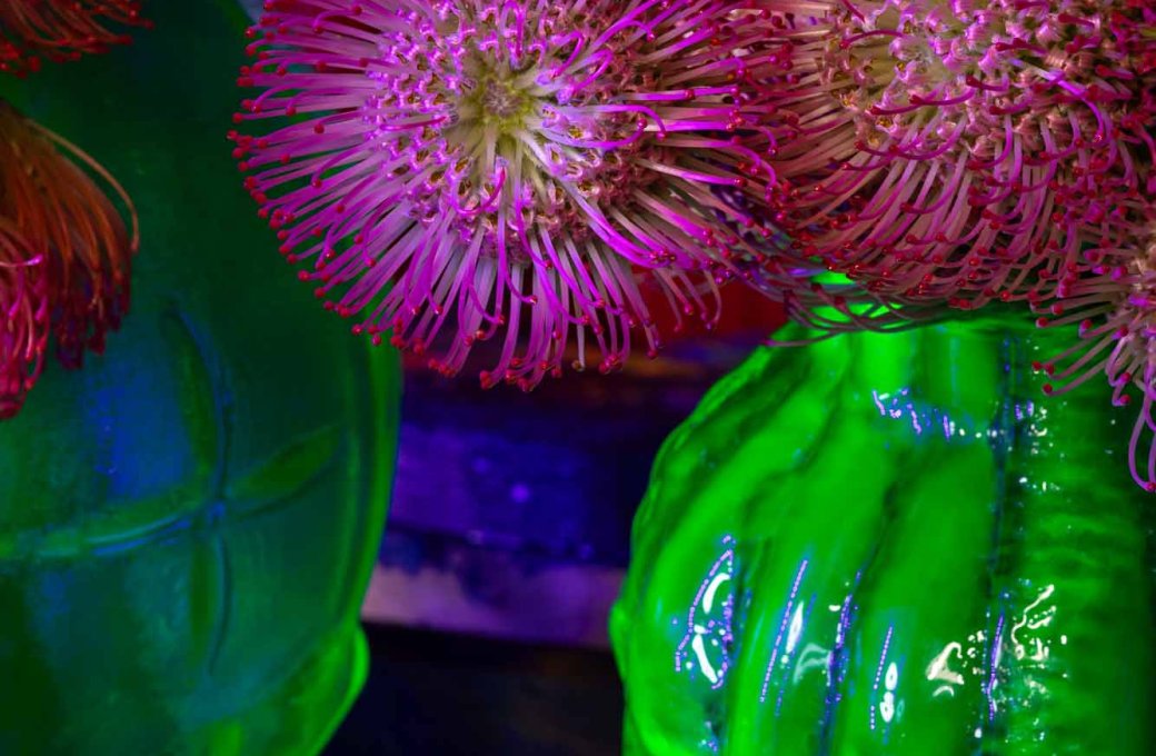 Co vás kde čeká na výstavě Flora Olomouc 2025? Základní rozdělení expozic v areálu Výstaviště Flora Olomouc