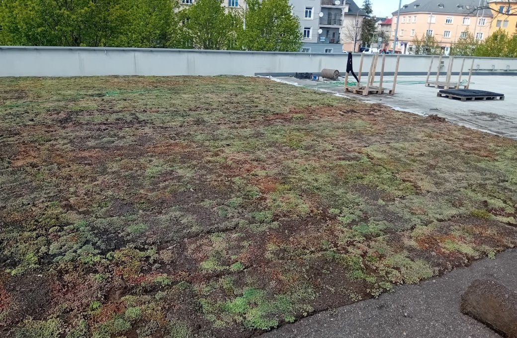 Realizace zelené střechy na terase pavilonu A