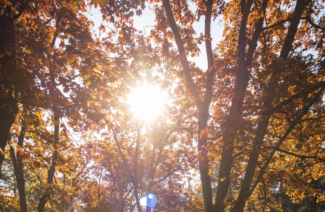 Multifunkční cyklostojan ve Smetanových sadech odstraněn