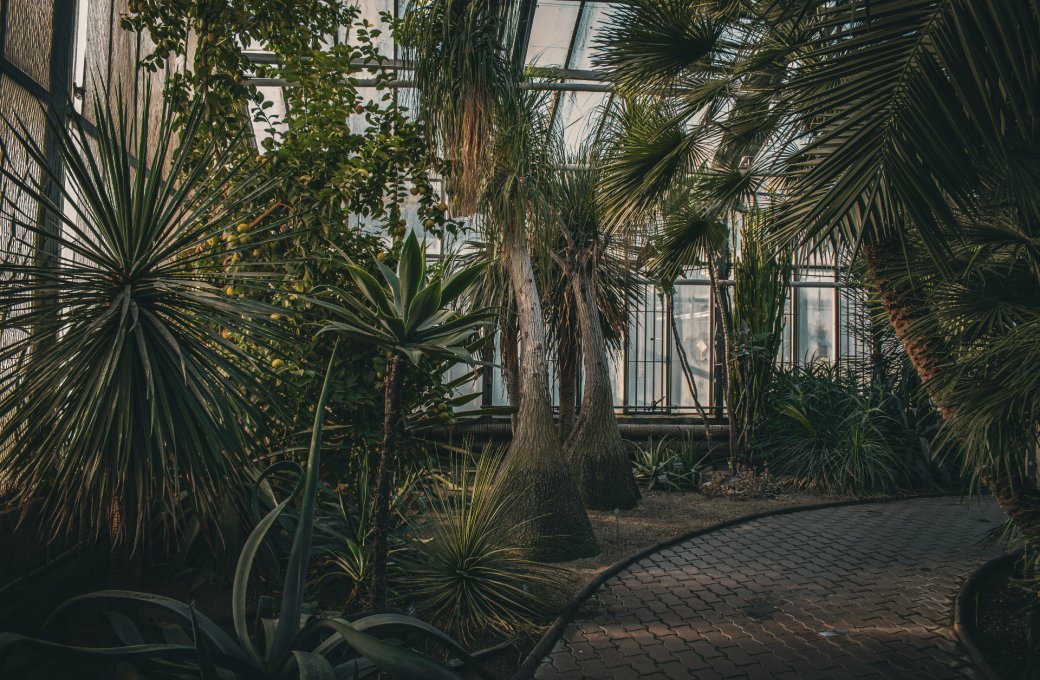 Otevření Sbírkových skleníků pro veřejnost