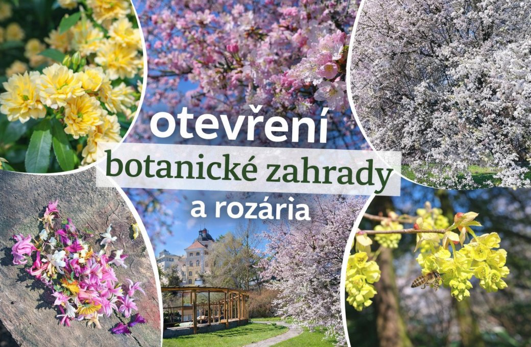 Otevření botanické zahrady a rozária