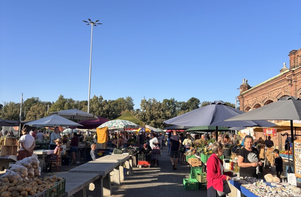 Olomoucká tržnice – rozdělení kompetencí
