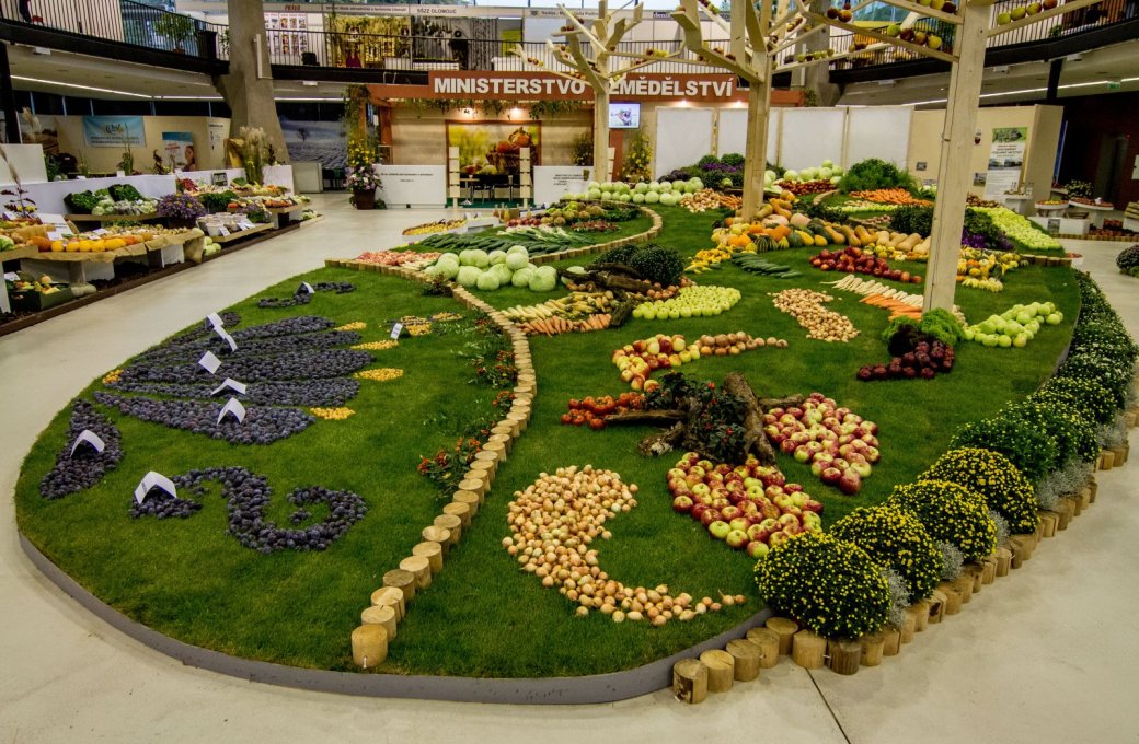 Poděkování partnerům výstavy Flora Olomouc podzimní etapa