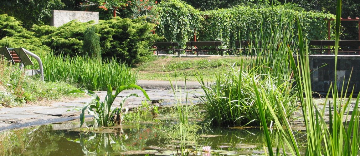 Botanická zahrada Olomouc