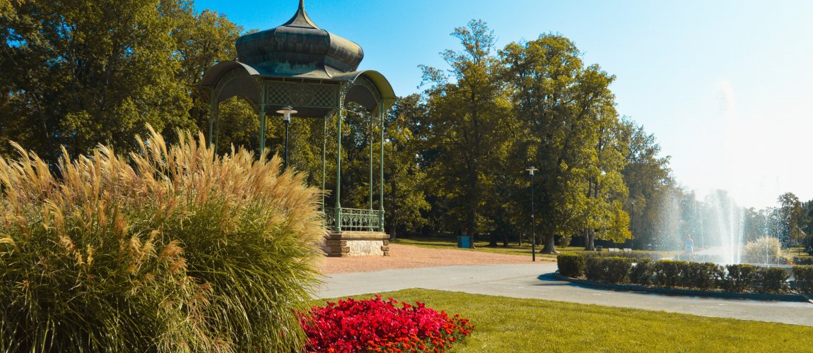 Nabídka zaměstnání