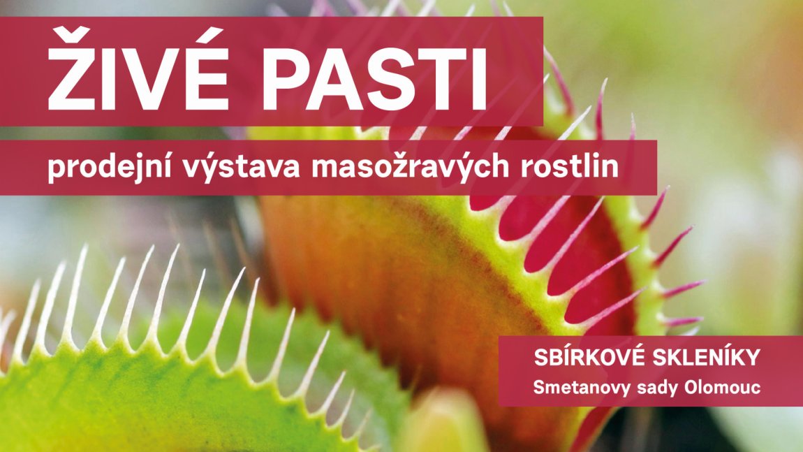 Živé pasti 2026