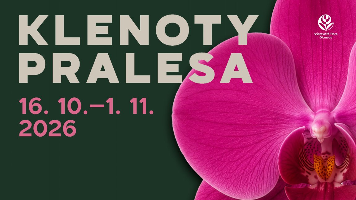 Klenoty pralesa 2026