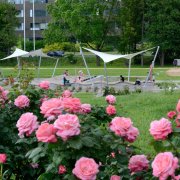 Botanická zahrada a rozárium budou mít 12. a 13. srpna zavřeno