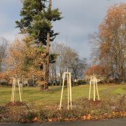 V olomouckých historických parcích se pokračuje s revitalizací zeleně dle projektu „Obnovy vegetačních prvků“ 