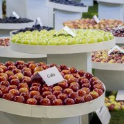Spustili jsme online prodej lístků na podzimní Floru