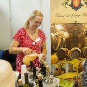 Dny moravských vín: degustace, přednášky i cimbálovka