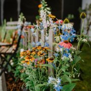 Letní Flora Olomouc připomene léčivou moc přírody i dávné visuté zahrady