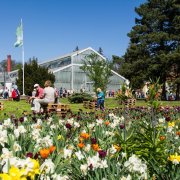 Květinová Flora Olomouc je zpět, hlavní expozice znázorní koloběh života
