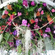 Na výstavu Flora Olomouc dorazilo bezmála 50 tisíc návštěvníků 