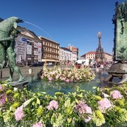 Téměř dva tisíce květin zdobí Arionovu kašnu v centru Olomouce