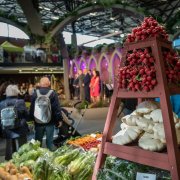 Celé Československo v pavilonu A. Flora Olomouc–Hortikomplex začíná 5. října