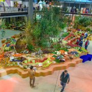 Víc než vloni. Na výstavu Flora Olomouc - Hortikomplex dorazilo téměř 23 tisíc lidí