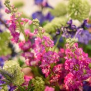 Výstava Flora Olomouc vezme návštěvníky do Galaxie květin. Hlavní expozice propojí vesmír s kvalitní floristikou 