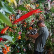 Úterní (VÝ)PRODEJ KVĚTIN z hlavní expozice