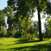 Bezpečnost především - dávejte v parcích po bouřkách pozor