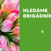 Hledáme brigádníky!