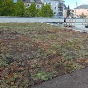 Realizace zelené střechy na terase pavilonu A