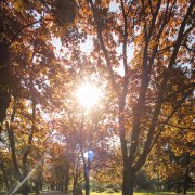 Multifunkční cyklostojan ve Smetanových sadech odstraněn