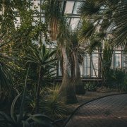 Otevření Sbírkových skleníků pro veřejnost