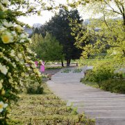 Rozárium Olomouc je již otevřeno