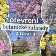 Otevření botanické zahrady a rozária