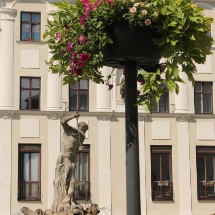 Rozkvetlé Dolní náměstí