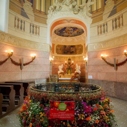 Projekt Rozkvetlé památky v předchozích letech